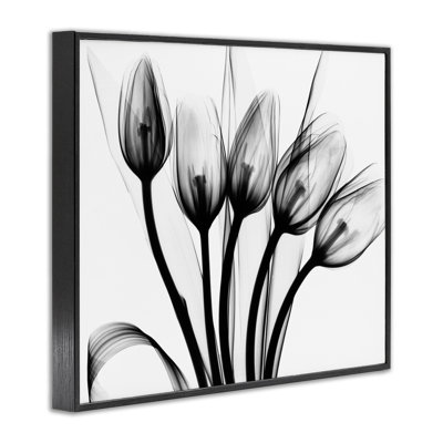 Modern Tulip Blossom Abstract Monochrome Silhouette Photography  Wall Plaque Art by Albert Koetsier