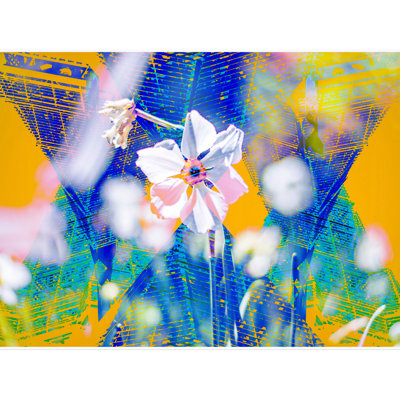 "Flower Garden" par Kevin Quinn - Cadre photo, impression sur papier