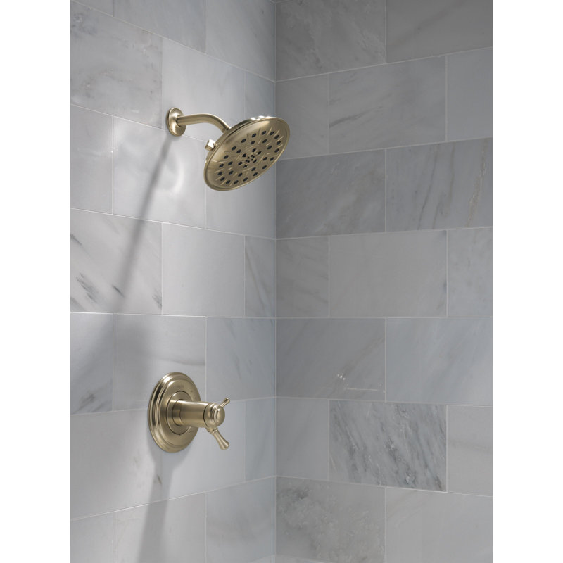 Rain Dual Shower Head with H2Okinetic Technology, Lumicoat Champagne Bronze