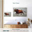 Taureau rouge Brampt-107840209