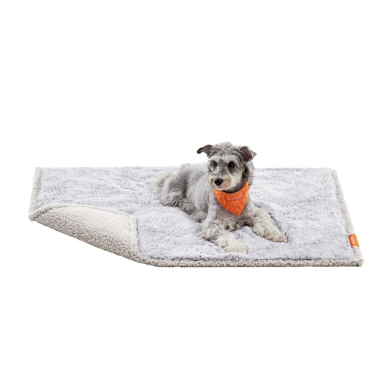 Couvertures pour chien