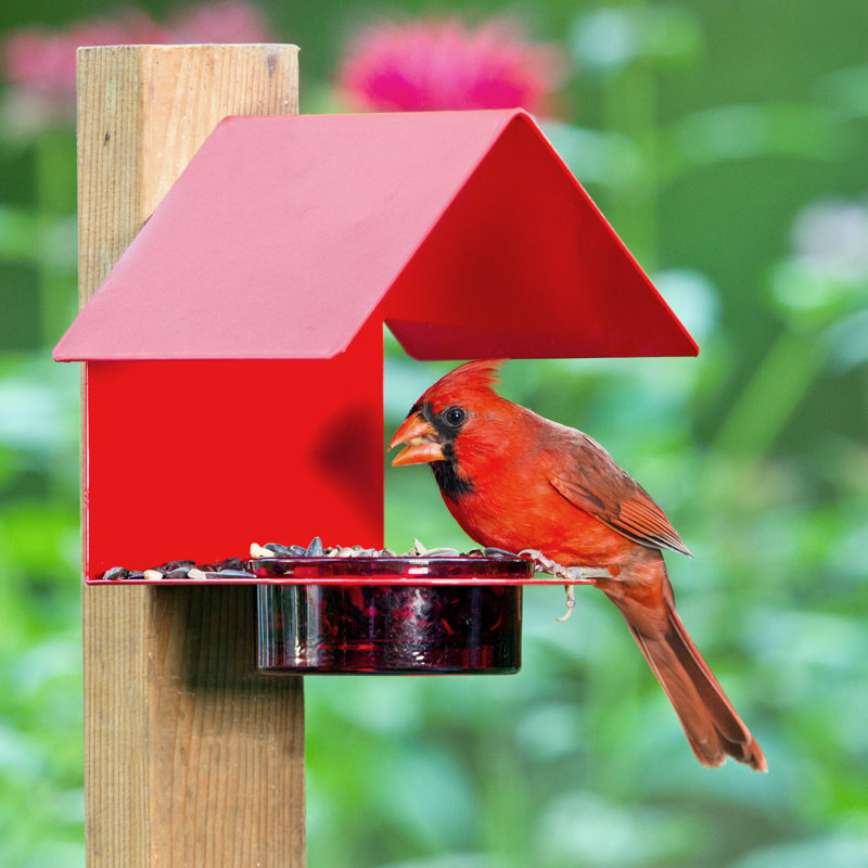 Diederike Tray Bird Feeder, Red
