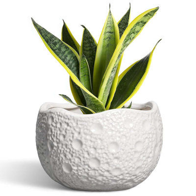 8 Inch Ceramic Plant Pot With Drainage Hole, Round White Planter For Indoor And Outdoor Use