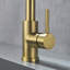 Dilon Colour Kitchen Faucet-101637396