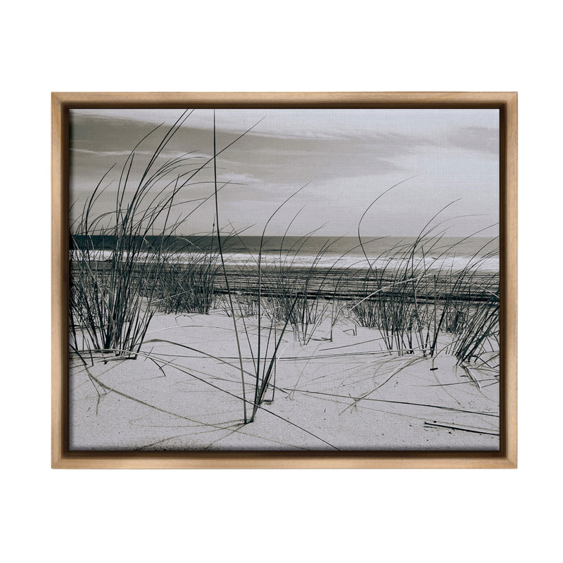 "Subtle Beach Reeds" par Graffitee Studios sur toile, Cadre flottant orme Montalcino, H 25 po x l 31 po