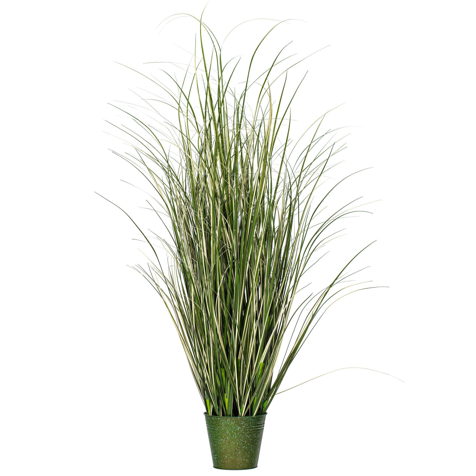 Grass Plant in Pot, 48" H x 25" W x 25" D