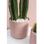 Apollo Natural Stones Vase Filler