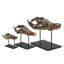Animals Figurines & Sculptures-152871353