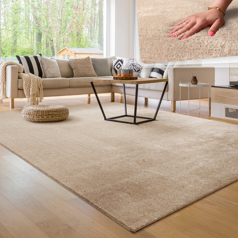 Ananio Shaggy Area Rug, Rectangle 240 x 340cm