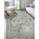 Corisande Oriental Indoor Rug