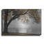 «Foggy Riverview» par Lori Deiter-1533092064