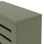 Lismore 12 Pair Shoe Storage Cabinet-1923586076