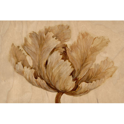 Sepia Tulip On Birch I - Wrapped Canvas Print