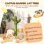 60 cm H Cat Scratchers