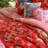 JG Co. By Amie And Jolie Sikes Garden Society Reversible Comforter Set-124244833