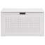 Elphaba 29.13" W Heavy-Duty Metal Sheet Accent Storage Trunk, Blanket Chest with Metal Frame