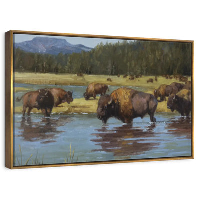 Buffalo Crossing