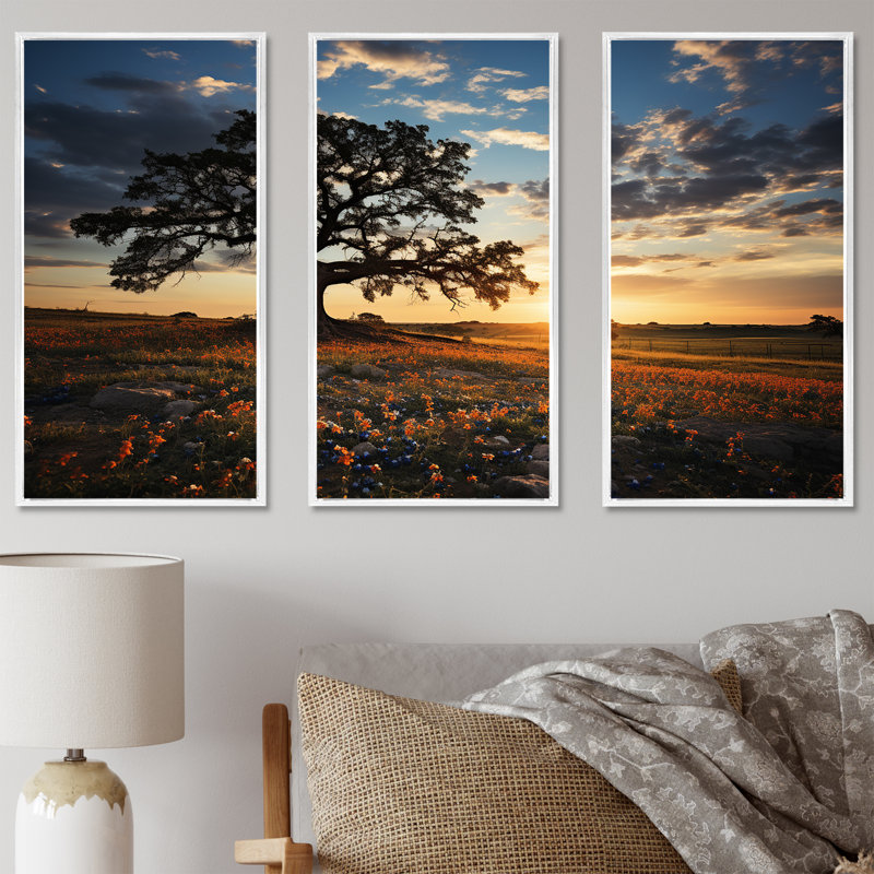 «Orange Bonnets Field With Sunset - Blue Bonnets», ensemble d'art sur toile, Cadre flottant blanc, H 32 po x l 48 po x P 1 po