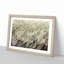 Feathers - Picture Frame Graphic Art Print-55730984-55730989
