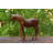 Avaliese Animals Figurines & Sculptures