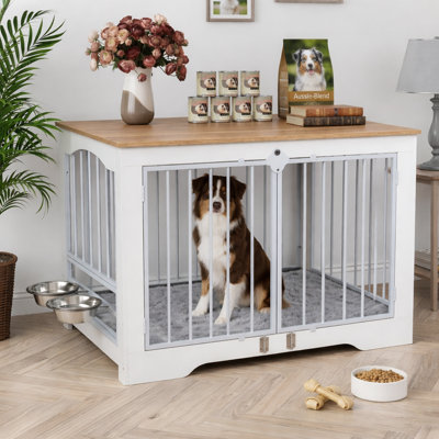 Caisse pour chien robuste
