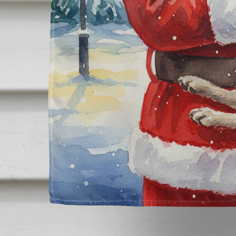 Lévrier écossais avec le drapeau de la maison du Père Noël, Taille de la maison, Lévrier écossais