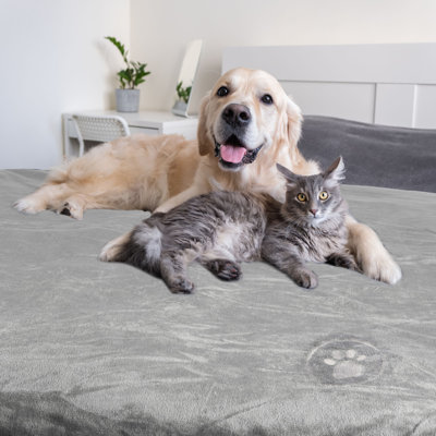 PETMAKER Water-Resistant Dog Blanket - 80x100-Inch Reversible Sherpa Blanket for Bed, Couch, Crate, or Car - Protection from Stains, Spills, Accidents, and Pet Fur - Machine Washable
