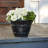 15.25" Modesto Resin Planter (2 Pack)