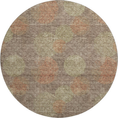 Premium Machine Washable Prisco Brown Rug