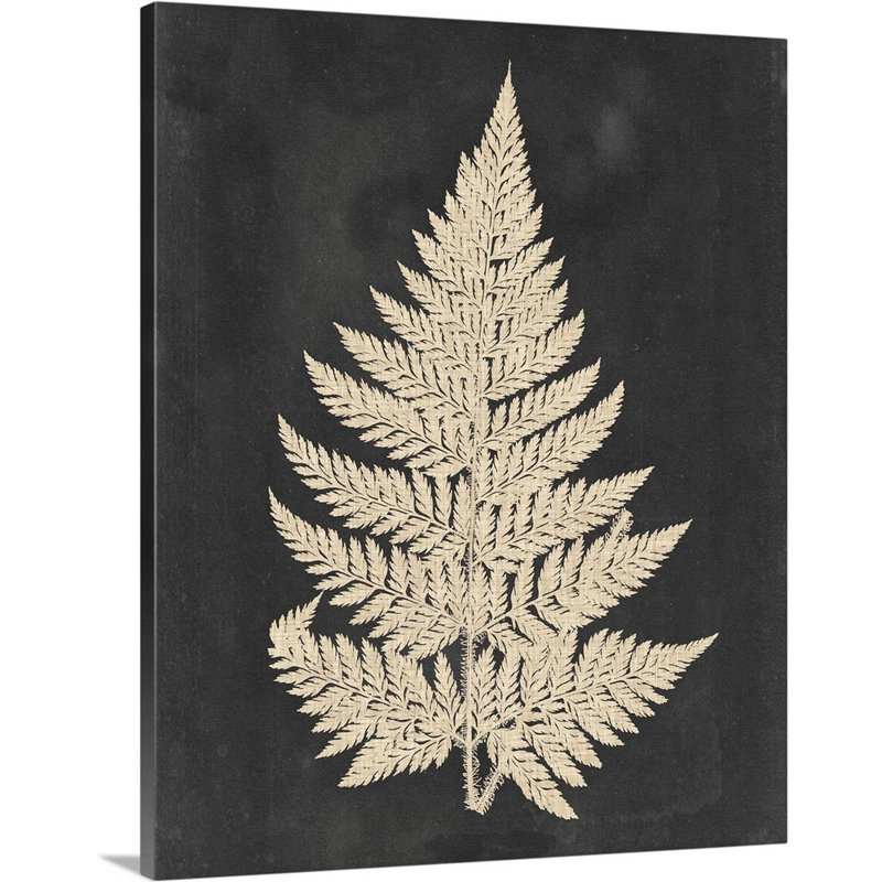 Linen Fern I, art mural sur toile, H 20 po x l 16 po x P 1,25 po, Toile tendue
