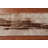 Transitional Oriental Runner Rug 3x10