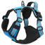 Pet Carrier-1521727697