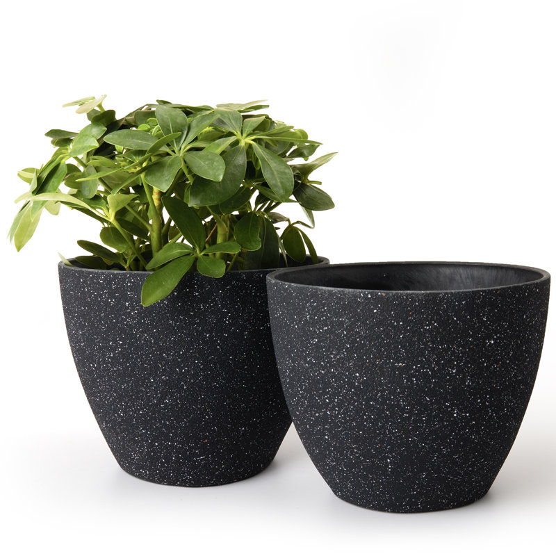 Eldwun 2 Piece Resin Pot Planter, Indoor/Outdoor Garden Flower Pots, Black, 5.7" H x 7.5" W x 7.5" D