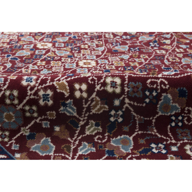 Hand Knotted Oriental Area Rug in Red
