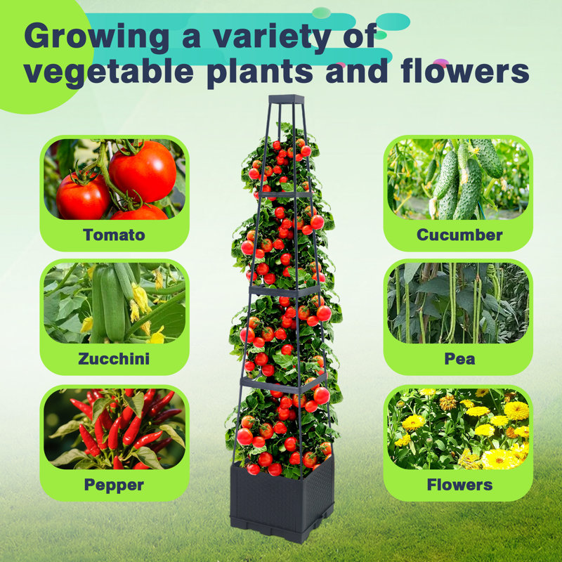 Boîte de 2 pots à fleurs surélevés pour jardin avec tomates et treillis, cage à tomates 56,8 po avec treillis trapézoïdal, 2