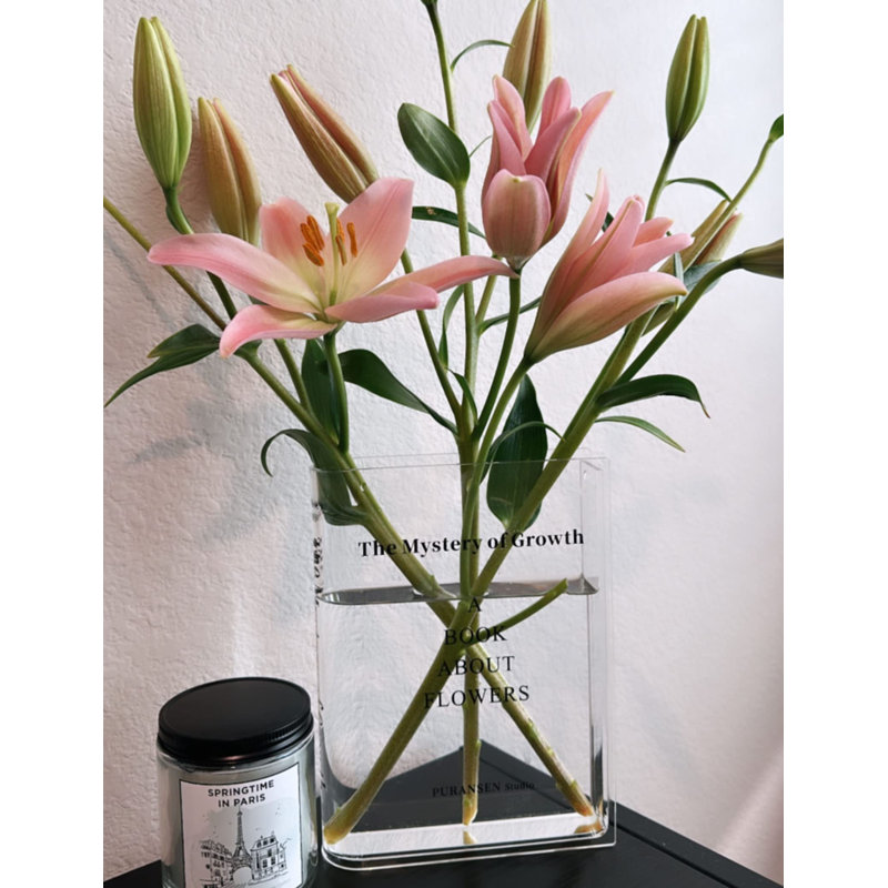 Clear Book Flowers Vase - Cute Bookshelf Decor; Unique Vase For Book Lovers