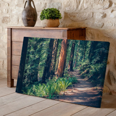 Toile, scène sereine de forêt représentant un chemin sinueux à travers un art mural luxuriant Redwood Grove avec des arbres imposants