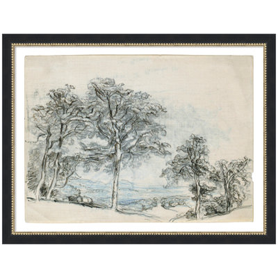 «Sketches Maples Samuel Colman» par le Smithsonian American Art Museum, reproduction d'art sur toile encadrée
