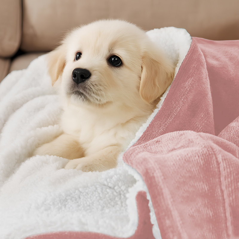 Couverture en molleton doux Microplush, Lit simple, Rose