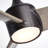 Karlovy 52'' Ceiling Fan with LED Lights-1233496629