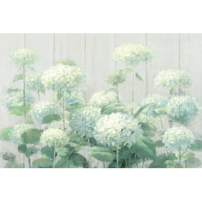 " White Hydrangea Garden Sage On Wood Crop "