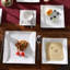Piece Porcelain China Dinnerware Set - Service for 6