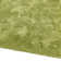 Beatty Shiny Shaggy Green Rug