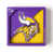 Minnesota Vikings