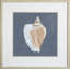 Shell On Slate VI Print by Meagher