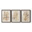 Parchment Coral I - ensemble de 3 reproductions de cadres photo-207375885-207375875