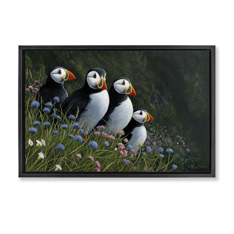 Cadre flottant Puffins & Wild Flowers, design par Jeremy Paul, Cadre flottant noir de jais, H 17 po x l 25 po