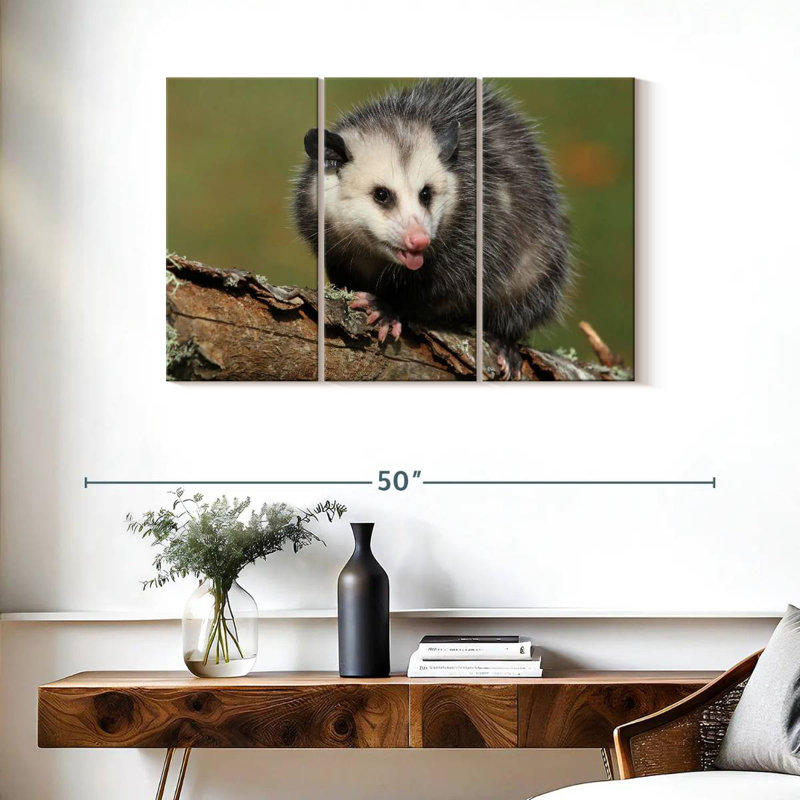 Bramble Angry Opossum, H 24 po x l 38 po