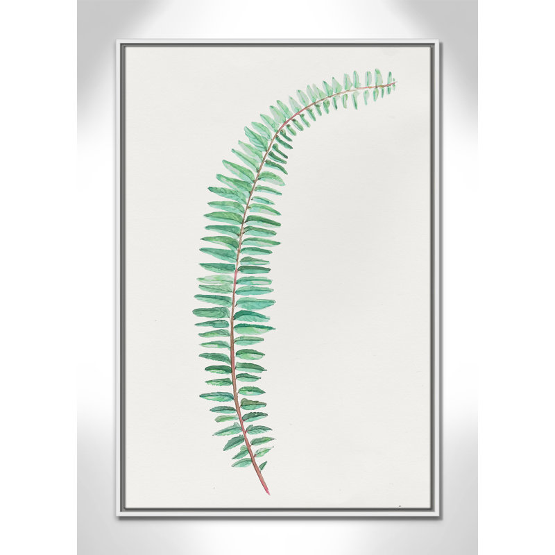 «Delicate Botanical II», reproduction d'art sur toile, Cadre blanc, H 37,5 po x l 25,5 po x P 2 po