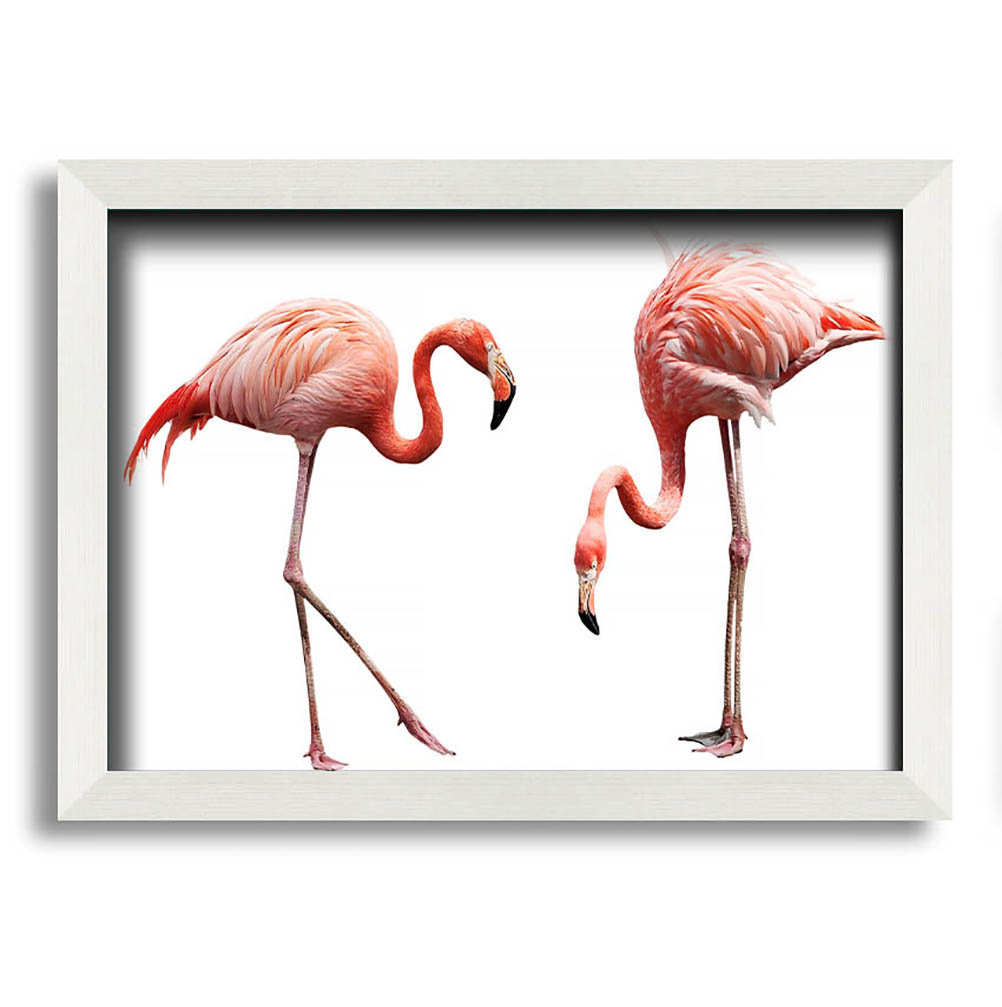 Finis Pink Flamingo Duo Gerahmter Druck Wandkunst